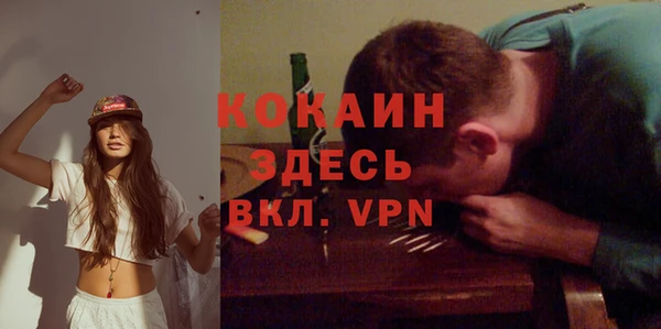 первитин Богданович