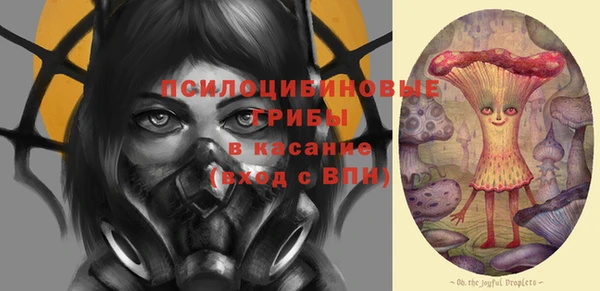 первитин Богданович