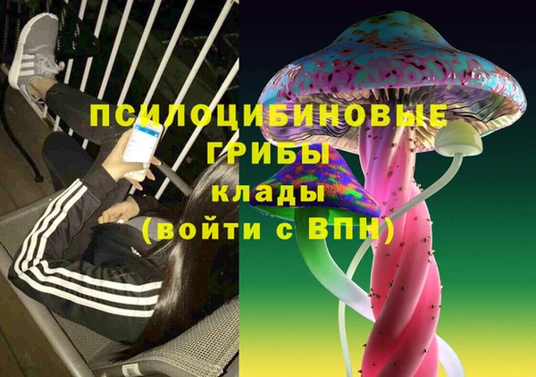 MDMA Богородск