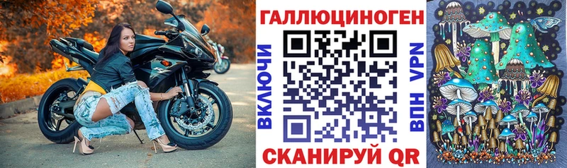 Галлюциногенные грибы Psilocybe  Чёрмоз 